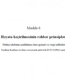 Maddə 6 -  Həyata keçirilməsinin rəhbər prinsipləri